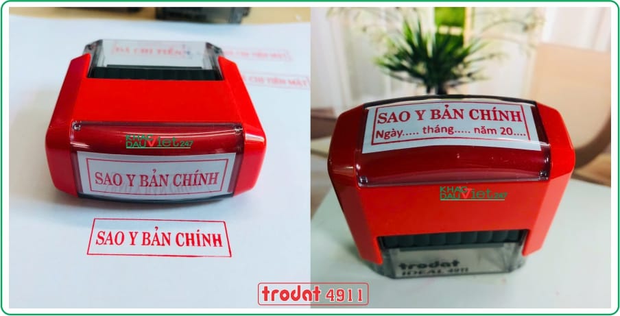 dau sao y
